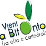Vieni a Bitonto - Fra olio e cattedrali collaborazioni